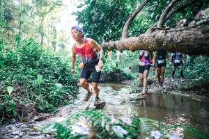 BIB: 
                            <button type="button" onclick="openModal(25435850)" class="btn btn-primary btn-sm float-right btn-popup" data-toggle="modal" data-target=".modal-high-quality">
                        <i class="fas fa-shopping-cart"></i> Add to Cart
                    </button>
                                            <button type="button" onclick="isThisMe(25435850, true)" class="btn btn-success btn-sm float-right btn-popup btn-isme hidden" data-toggle="tooltip" data-placement="bottom" title="นี่คือรูปของคุณใช่ไหม คลิกที่นี่เพื่อเอาเข้าอัลบั้ม">
                        <i class="fas fa-plus"></i> Add to album
                    </button>
                    <button type="button" onclick="isThisMe(25435850, false)" class="btn btn-warning btn-sm float-right btn-popup btn-isnotme hidden">
                        <i class="fas fa-ban"></i> Remove from album
                    </button>